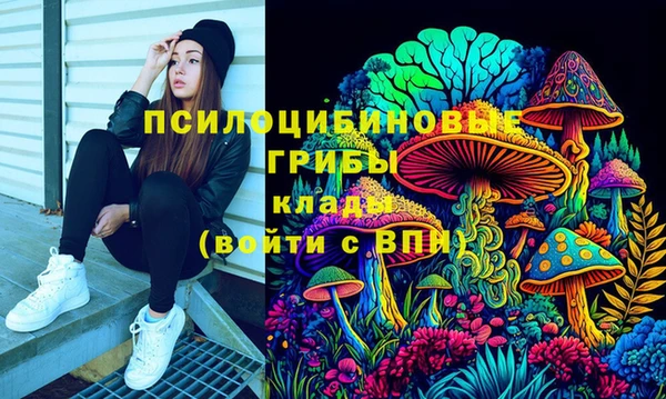 ешки Алзамай