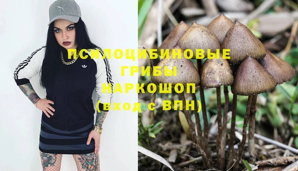 ешки Алзамай