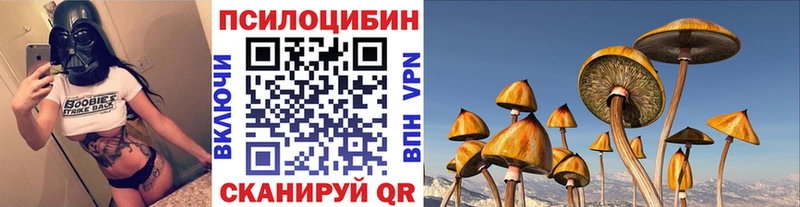 Галлюциногенные грибы MAGIC MUSHROOMS  Владивосток 