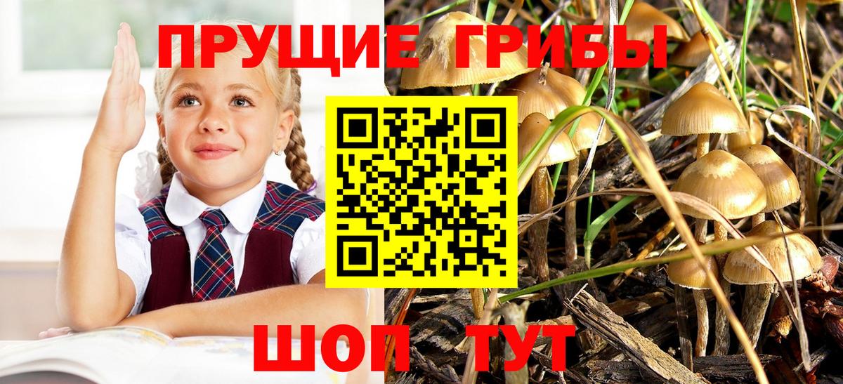 Владивосток  Псилоцибиновые грибы Psilocybine cubensis  Псилоцибиновые грибы мухоморы  Вход с VPN 
